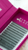 Anime Lash Collection