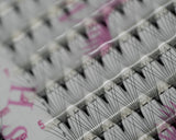 Supreme Volume Box – Nina Lash (YY • 6W • 8D)